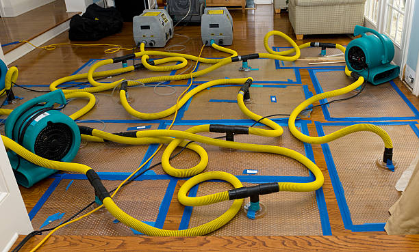 Professional Structural Drying And Dehumidification technician working in Mooresville, MO